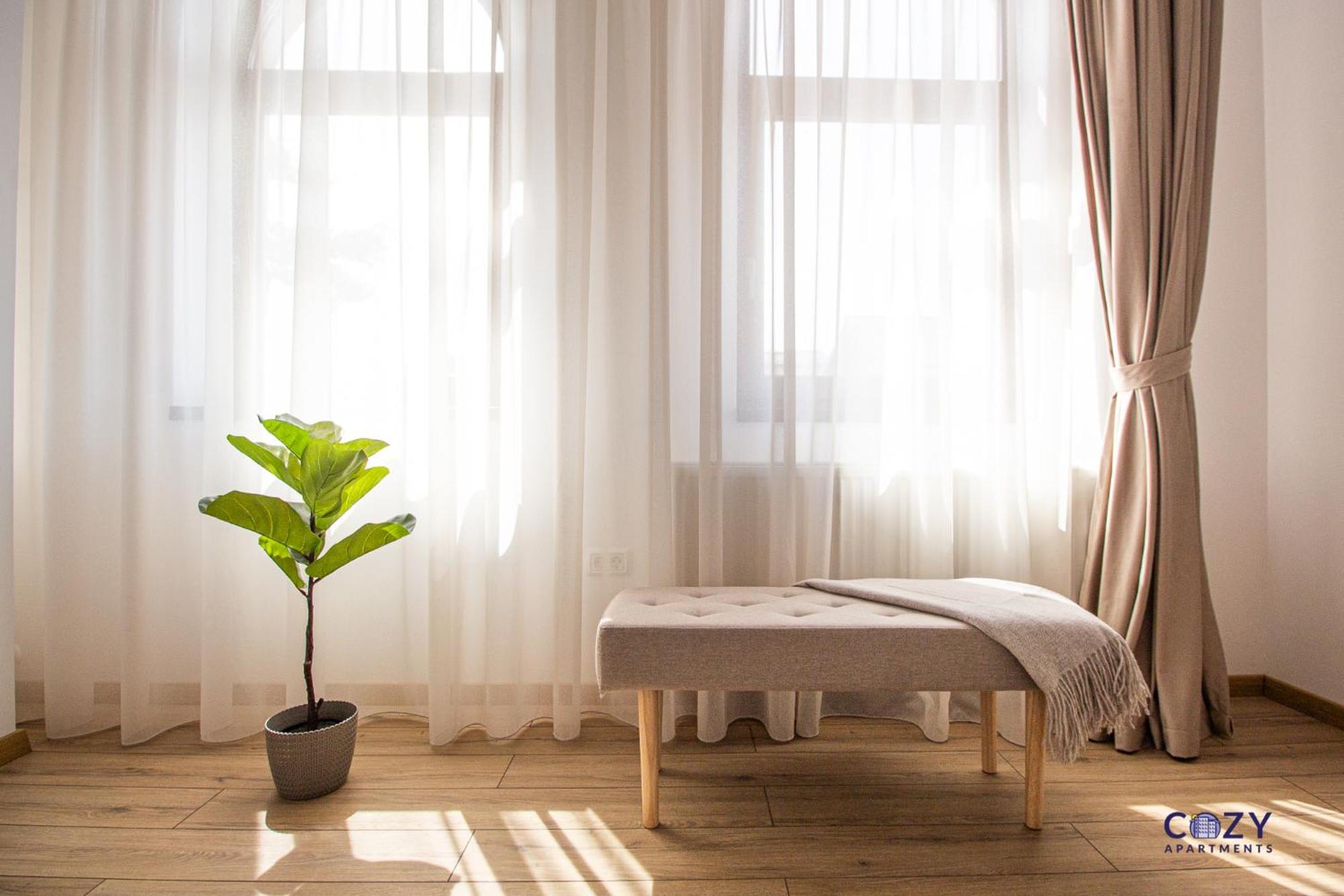Cozy Brand New Boutique Aparthotel ブラショフ エクステリア 写真
