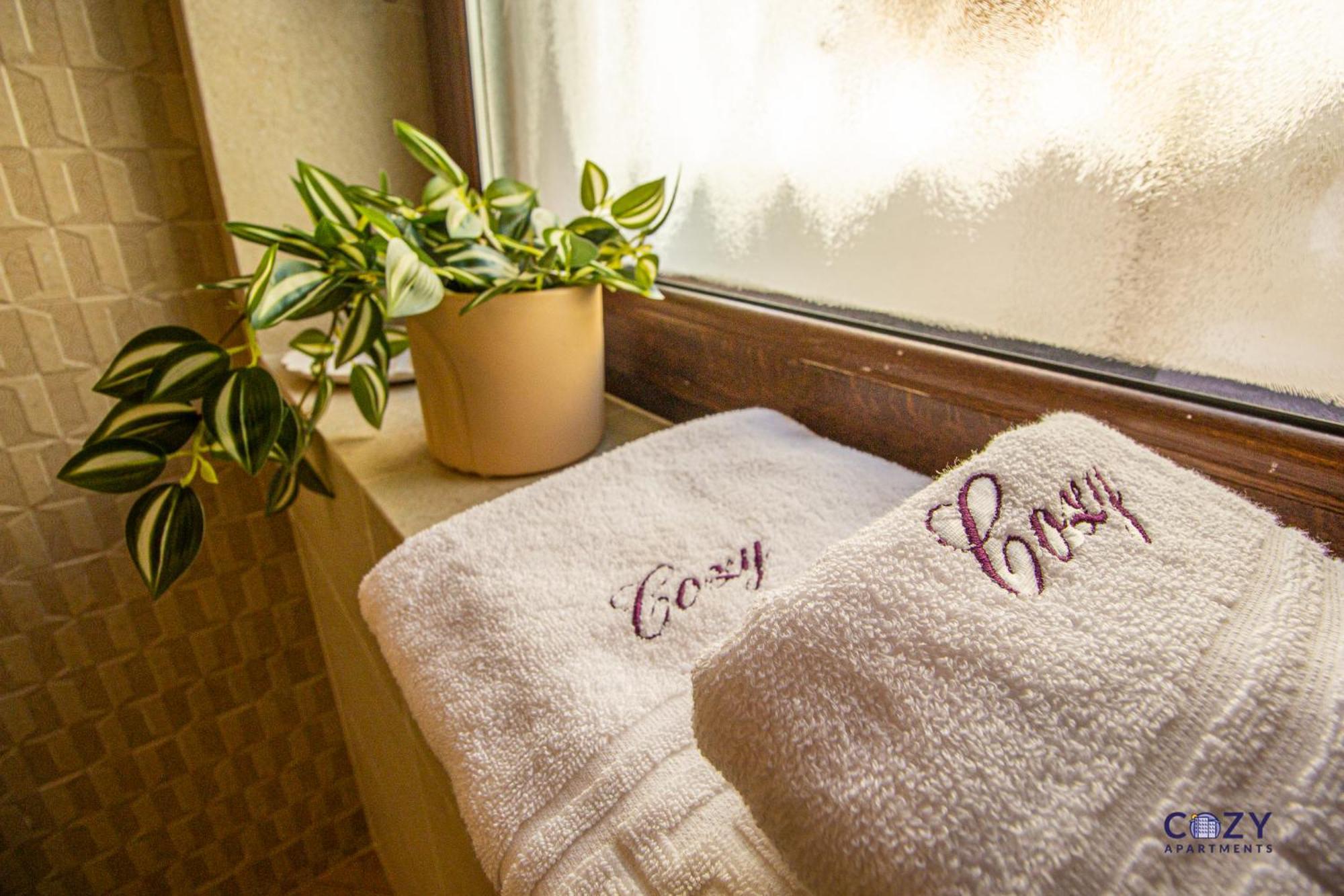 Cozy Brand New Boutique Aparthotel ブラショフ エクステリア 写真
